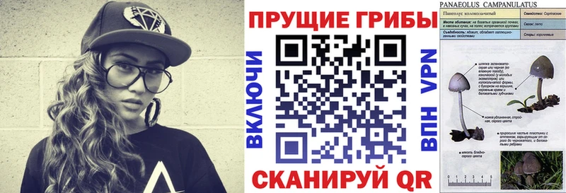 Псилоцибиновые грибы Psilocybine cubensis  Купить  Ялуторовск 
