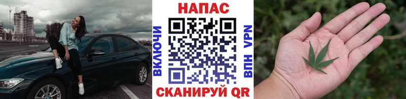 Купить  Ялуторовск  Канабис OG Kush 